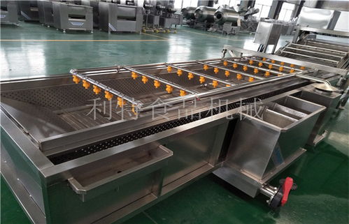 青蘿卜清洗設備規格品質 諸城市利特食品機械