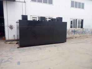 高效潔凈，守護(hù)環(huán)境 地埋式豆類加工污水處理與洗滌設(shè)備解決方案