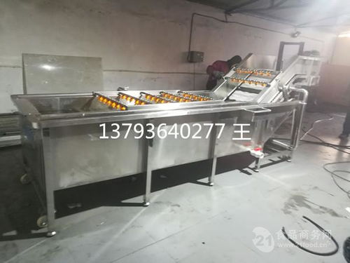 山東果蔬清洗設(shè)備價格解析與產(chǎn)品報價指南